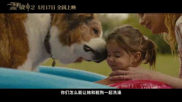 一条狗的使命2集锦,一条狗的使命2催泪片段