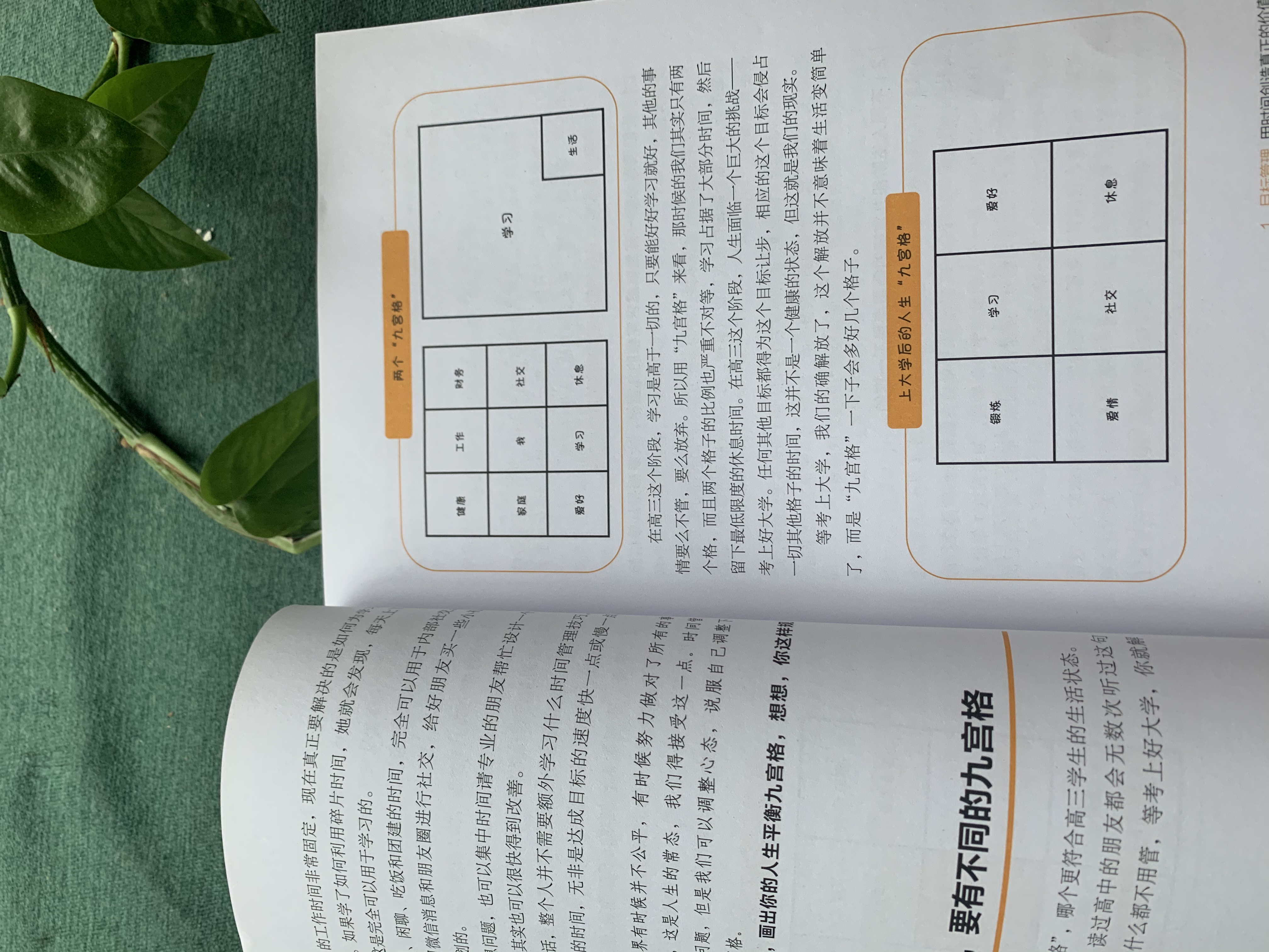 秋叶大叔书评,秋叶大叔的书籍