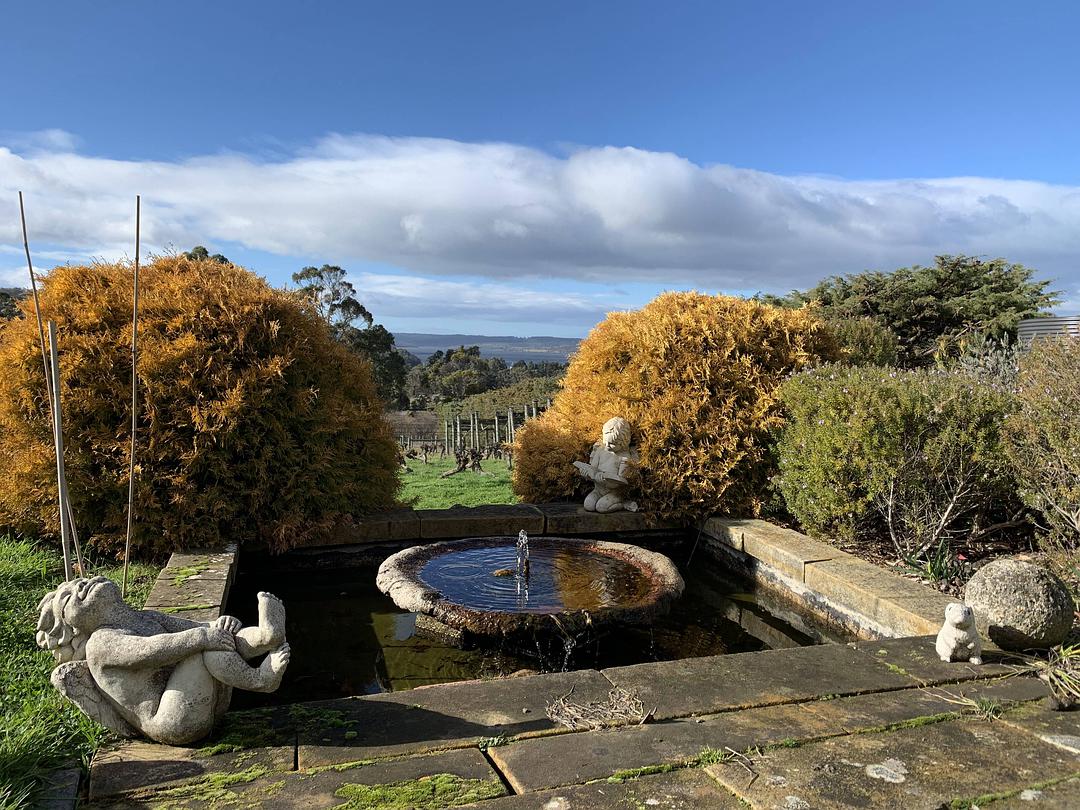 塔斯马尼亚心形小岛,降落西沙群岛