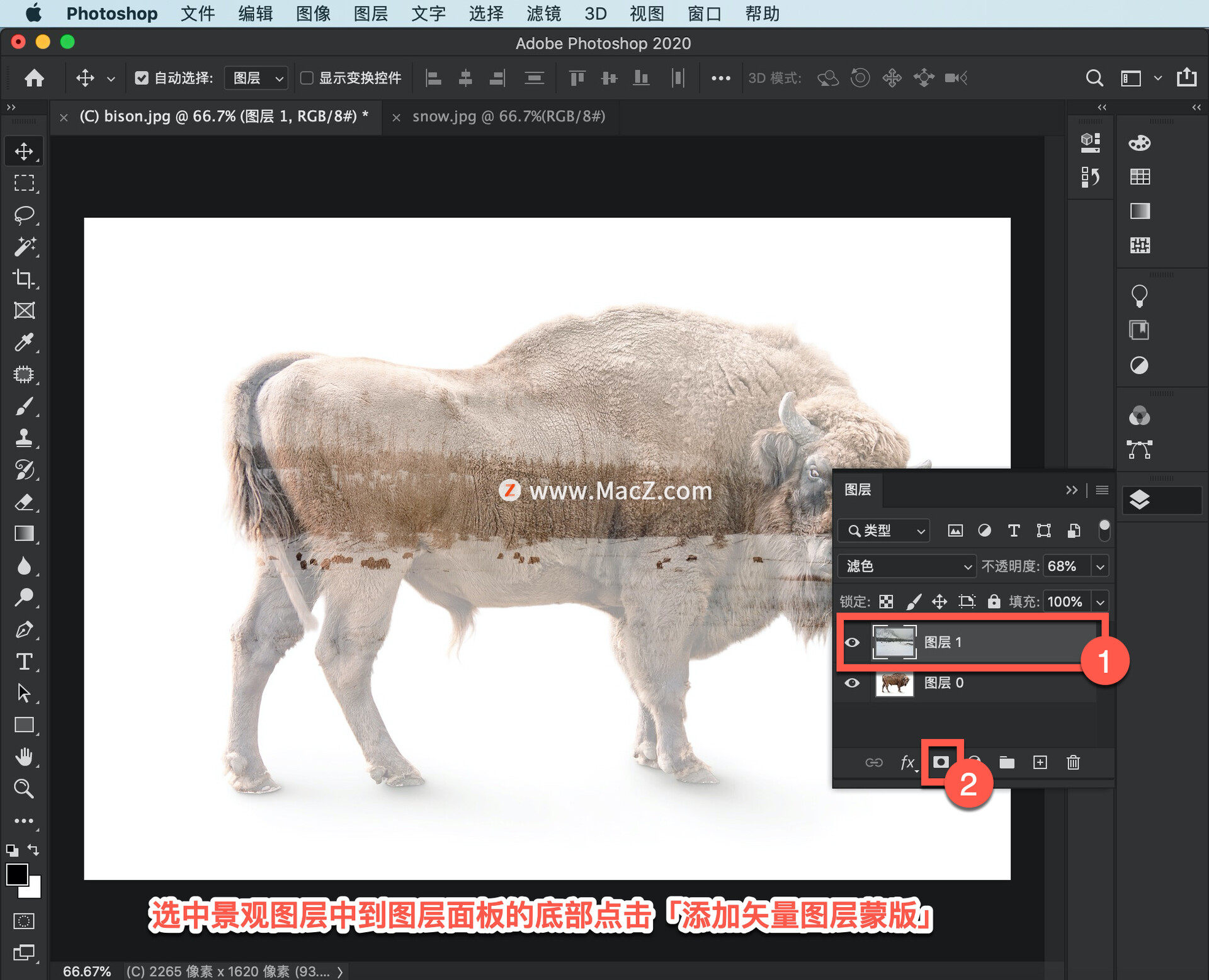 ps中怎么创建选区,ps教程百张相片