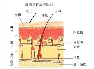 1分钟科普小知识,1分钟小知识