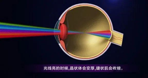 对眼睛好的显示器设置,电脑显示器眼睛保护