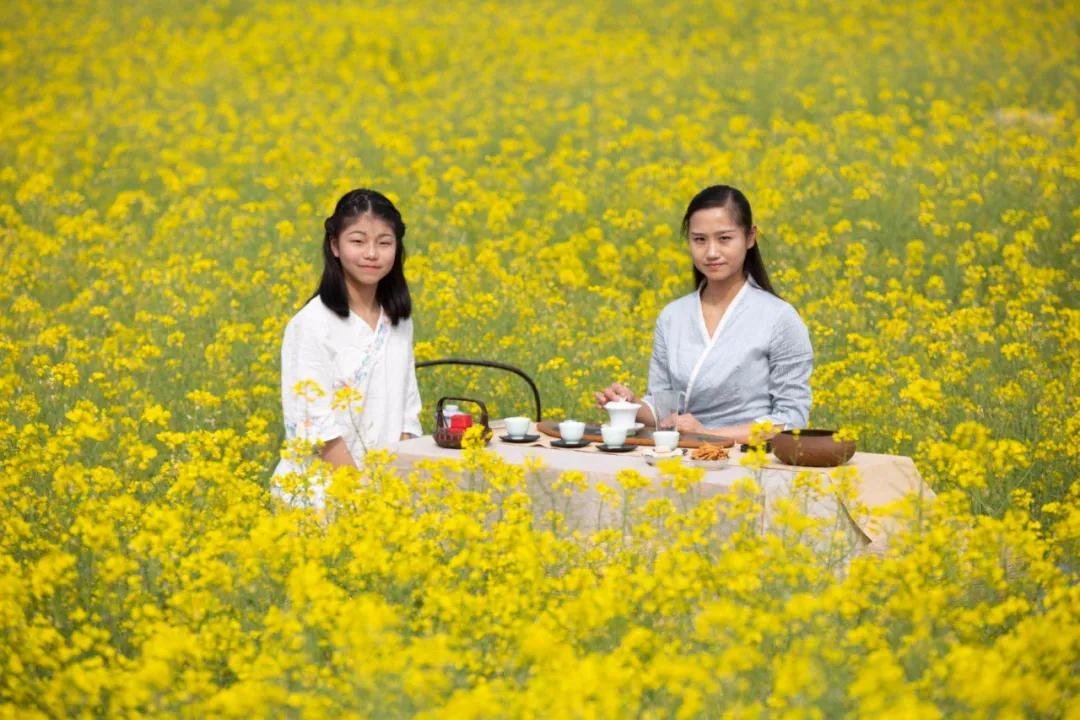 婺源油菜花节,2023婺源油菜花节