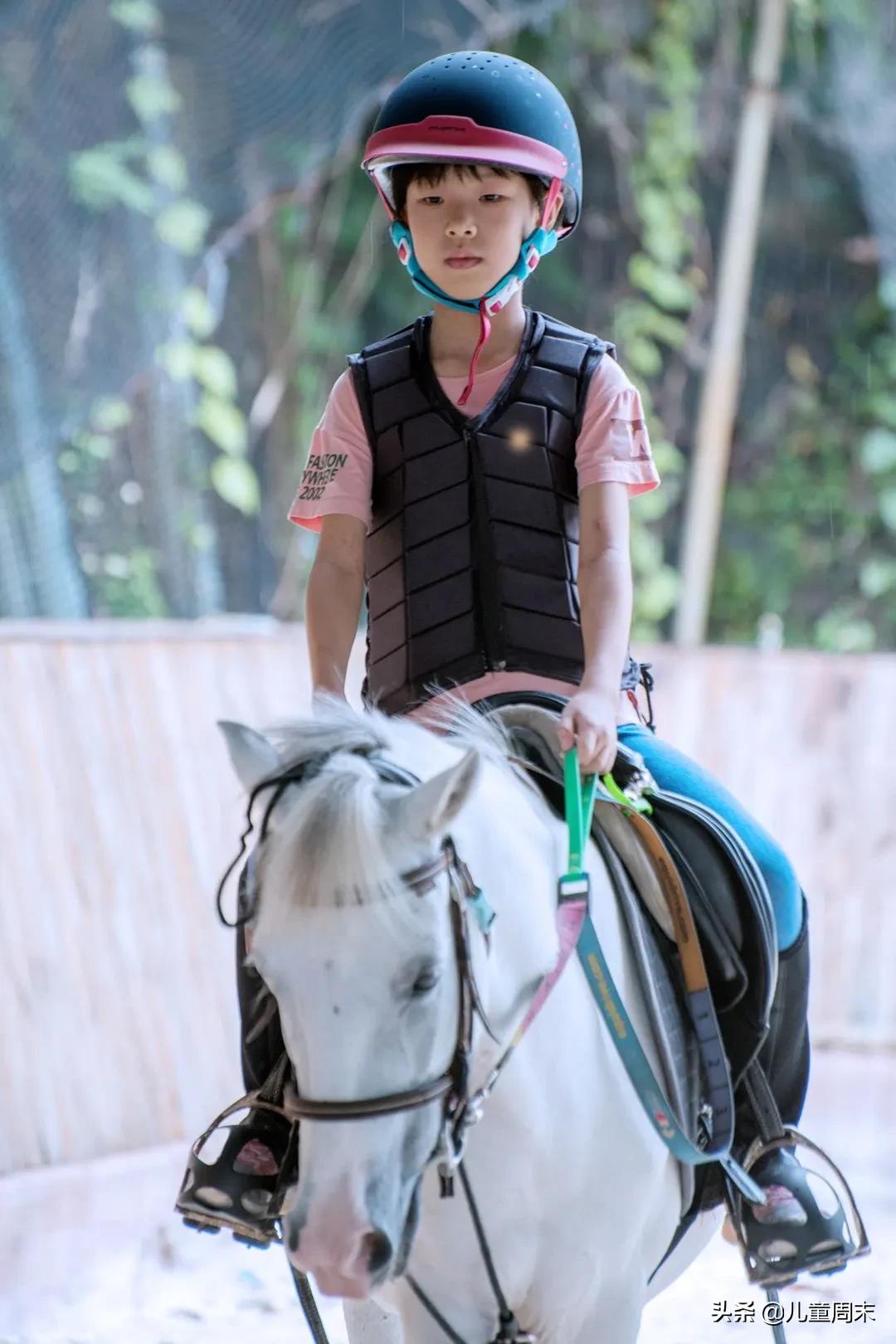 深圳海边骑马地点推荐,深圳骑马最佳地点