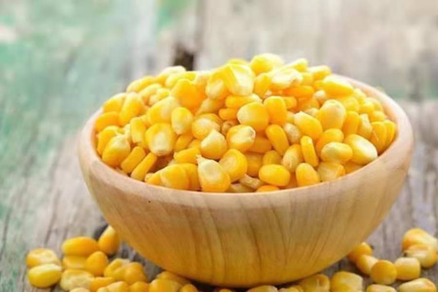 钓鳊鱼怎么有效避开白条,垂钓鳊鱼一般用什么钓