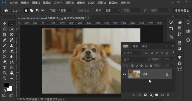 photoshop快捷键大全图解,photoshop快捷键对照表格大全