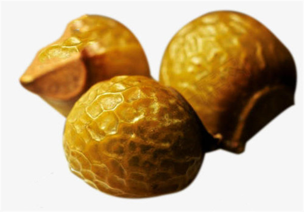 无患子树可以在北方家中种植吗,无患子植物种植