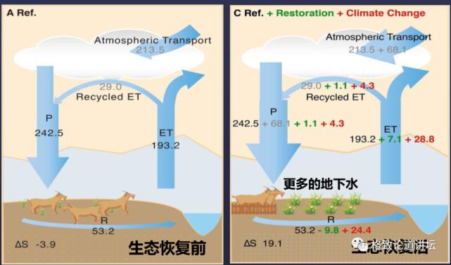 年蒸发量,年降水量超过2000