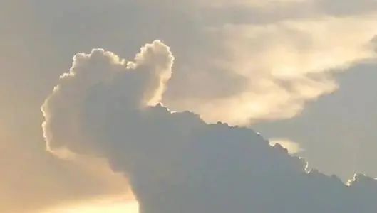 “特别争气！这些跃进车主们的孩子迈向大学啦！”