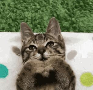 你和富豪的差距只差一个习惯,你和富人的差距只有一点