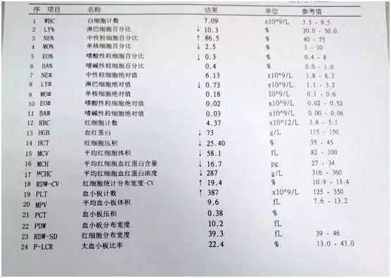 关于血常规的检查知识,关于血常规的视频