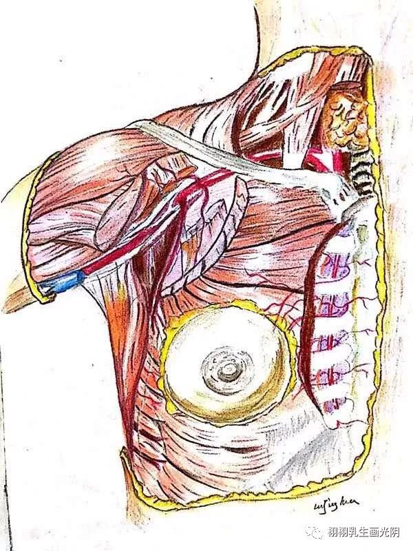 最贵的房子内部,最贵的房子内部图片