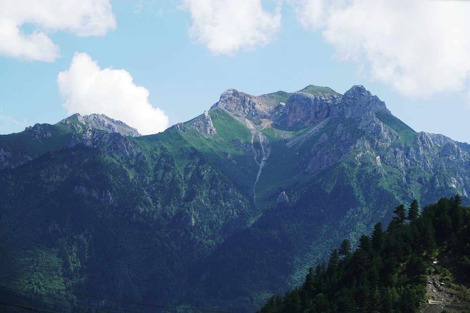 迭部:一脉相连的亲戚,因扎尕那而相聚