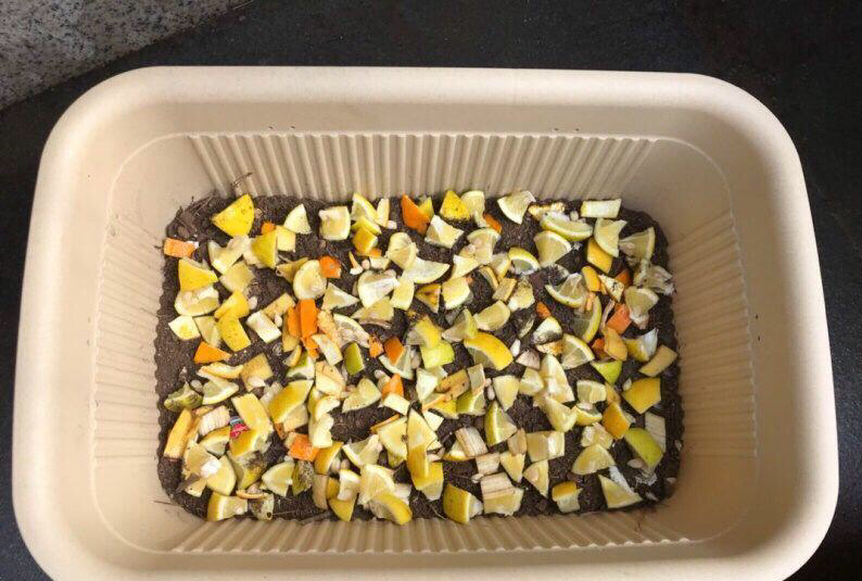 阳台种菜有讲究吗,阳台种菜十大注意事项