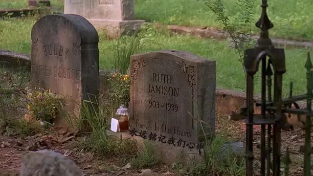 油炸绿番茄的电影,介绍超级好看的电影