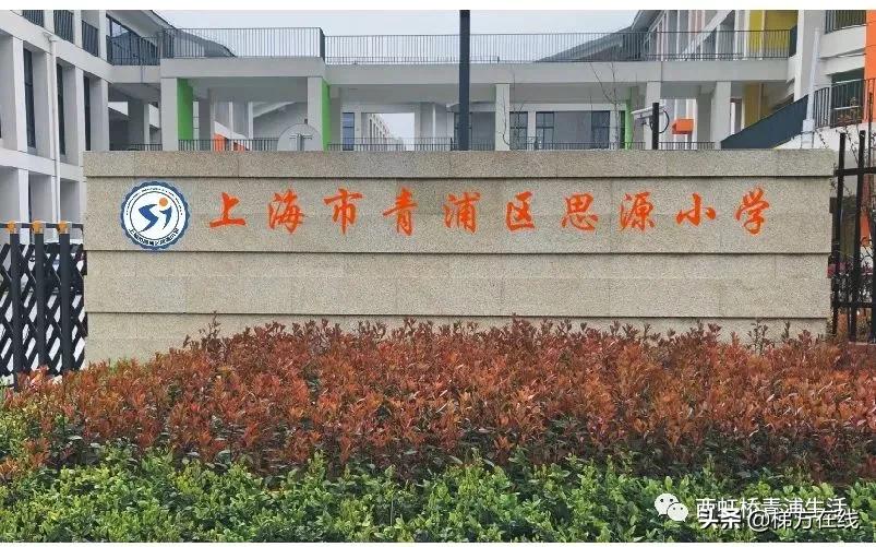 2021年上海市重点学校,上海2021新开33所学校