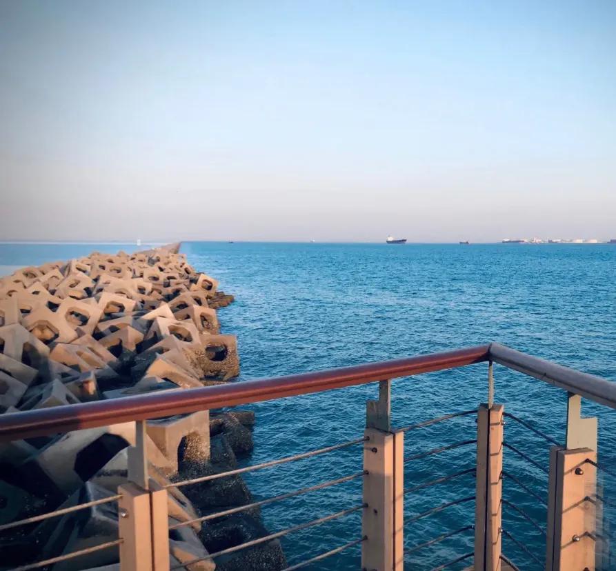 一个不出郑州的踏青好去处,天津春游公园推荐