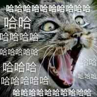 3a大作发售价 (值得购买的暴力3a大作)