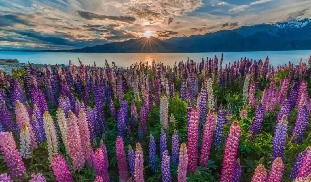 代购的大牌香水,去死皮沐浴露香味持久