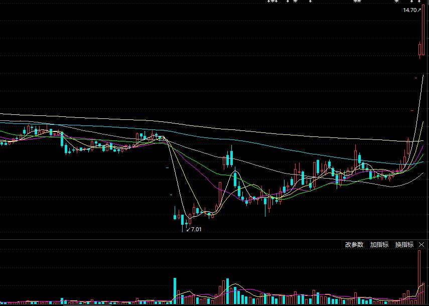 真正的新能源汽车龙头股,新能源十大龙头股