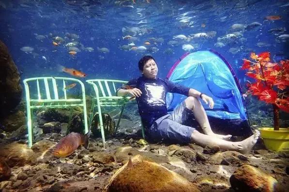 乡下小池塘,乡村里面的小池塘