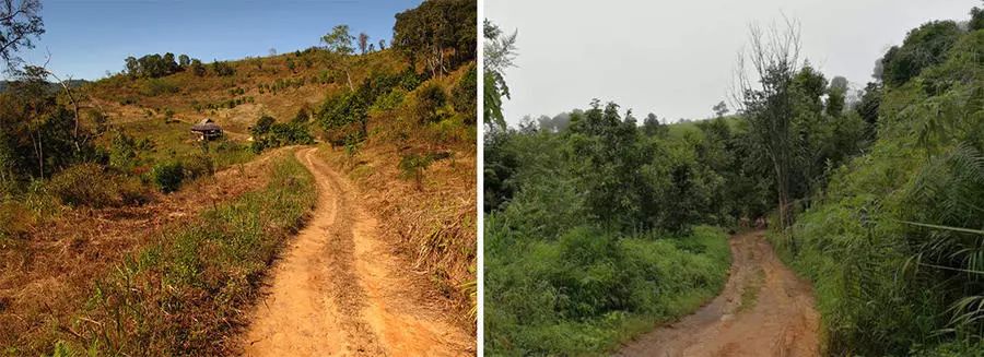 29岁不当记者，追随德国老公守护雨林，两女儿宛如天使，可不上学