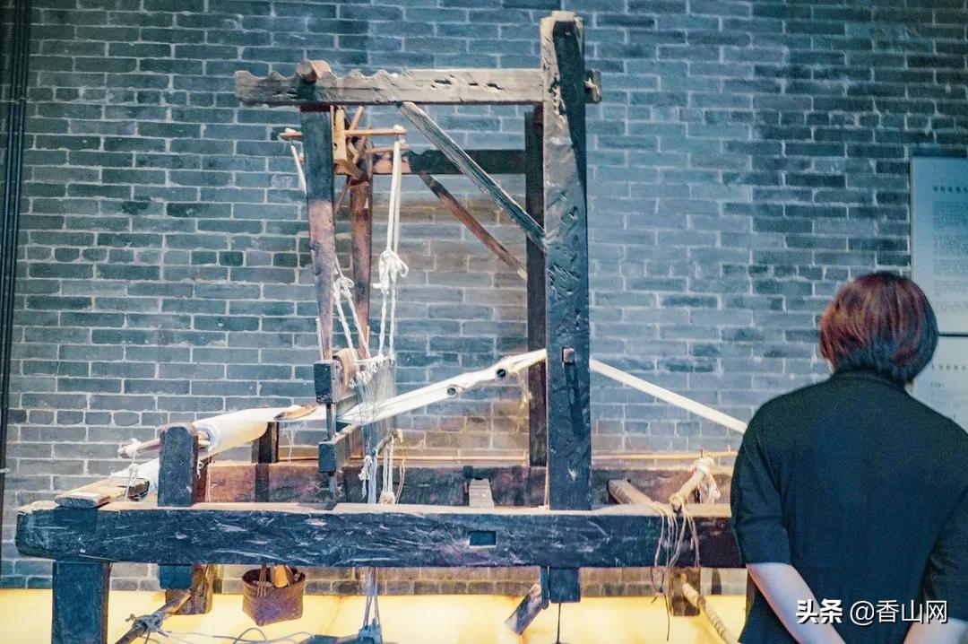 珠海鲜为人知的一面,珠海有名的花园