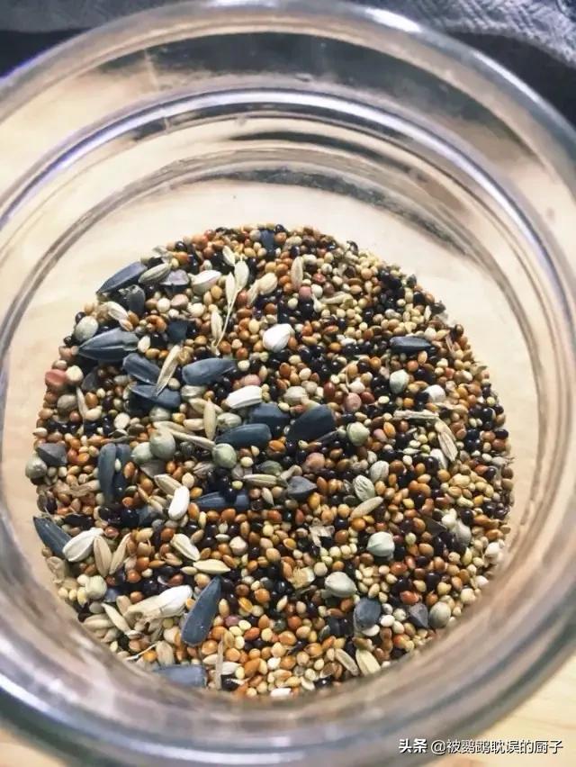 鹦鹉防止生病吃什么好得快,鹦鹉应该准备什么日常预防的药