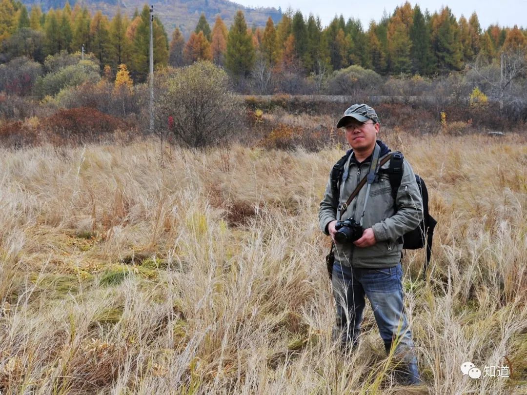 春风万千条书法作品,六亿神州尽舜尧猜一四字歌曲名