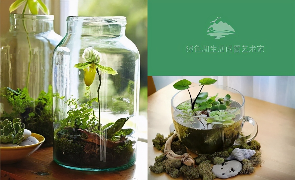 DIY自制花盆,让闲置品充满文艺气息