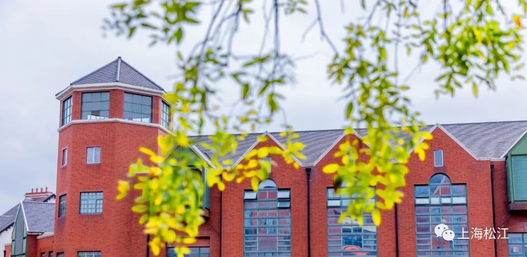 上海最美秋景,上海哪些公园可以拍秋景