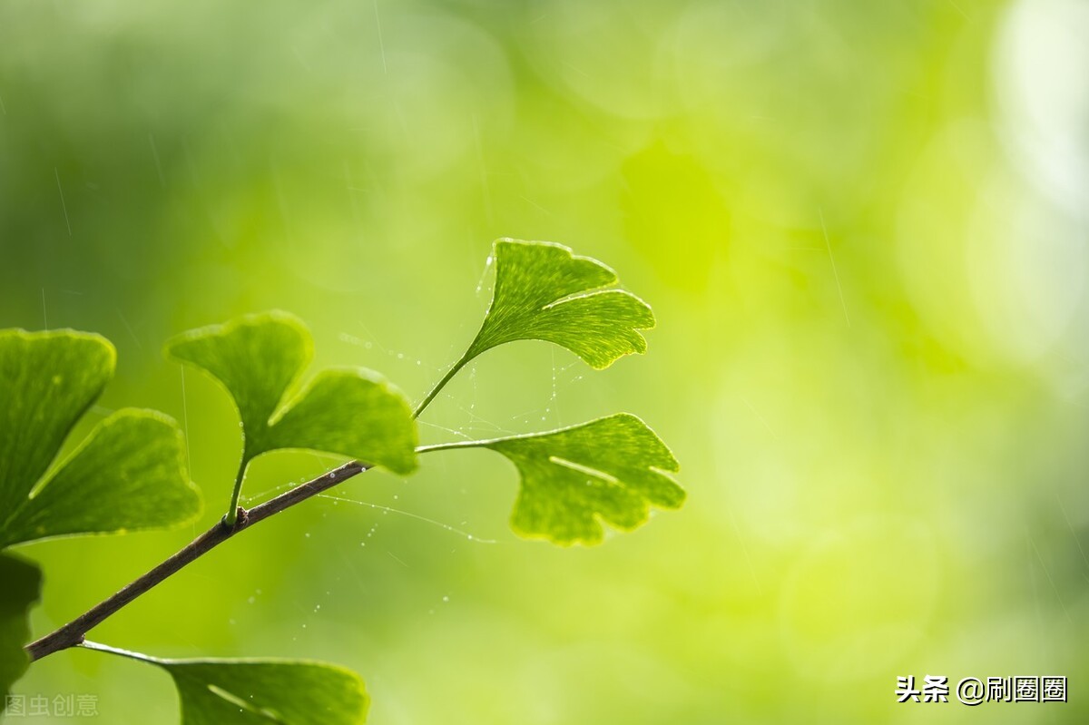 六年级作文一单元变形记范文,六上第一单元作文变形记优秀范文