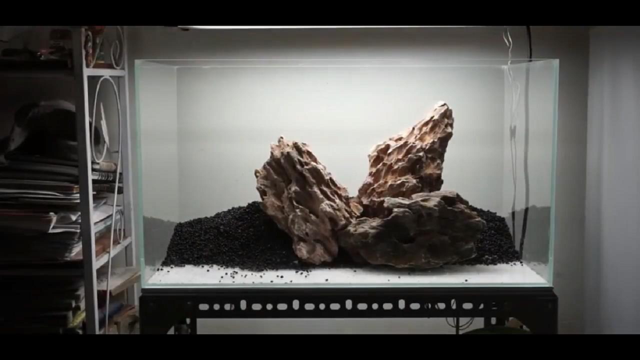 草缸皇冠水草造景,假山草缸水草造景