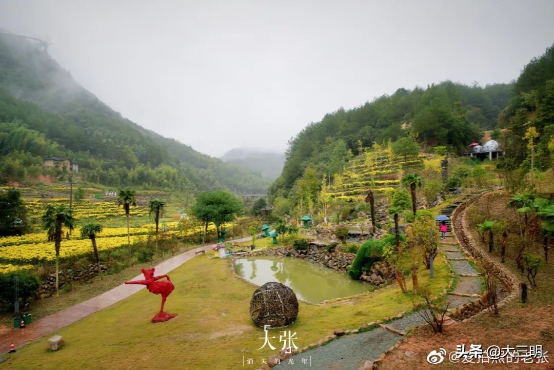 中国绿都最氧三明来将乐赏花,中国绿都最氧三明康养之旅