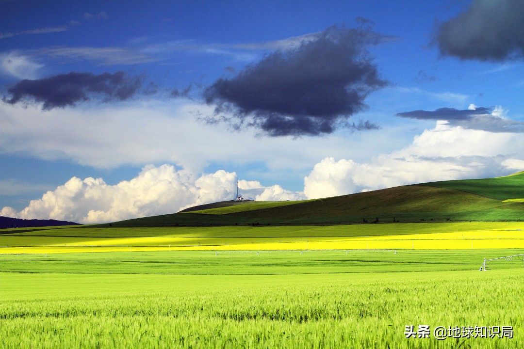 取一个好听的蒙古族名字,蒙古族名字怎么起