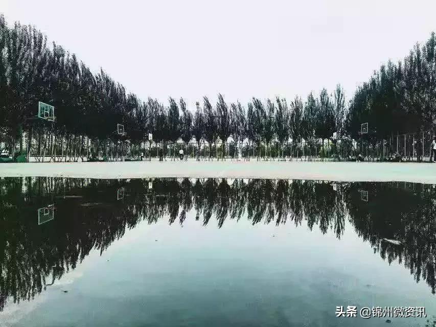 锦州渤海大学！全国最美大学之一！新入学的同学想知道的都在这里