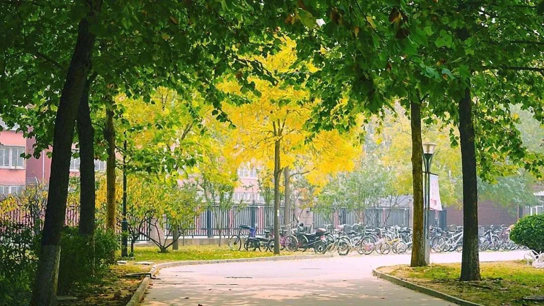 北京外国语大学附属外国语学校,北京外国语大学翻译硕士培养方案