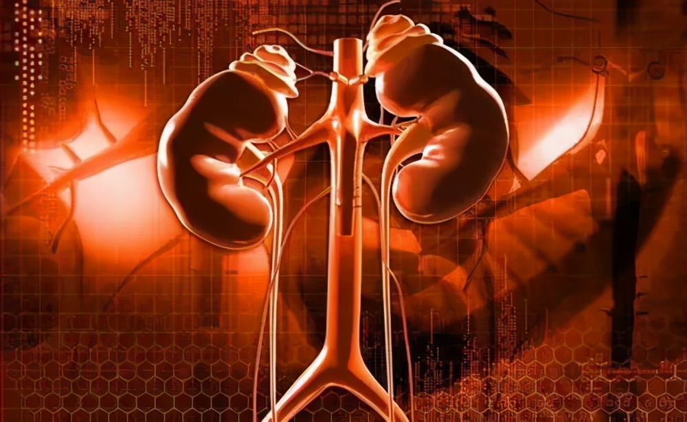 有蛋白尿就一定是肾病吗,出现蛋白尿是不是说明肾脏有损伤