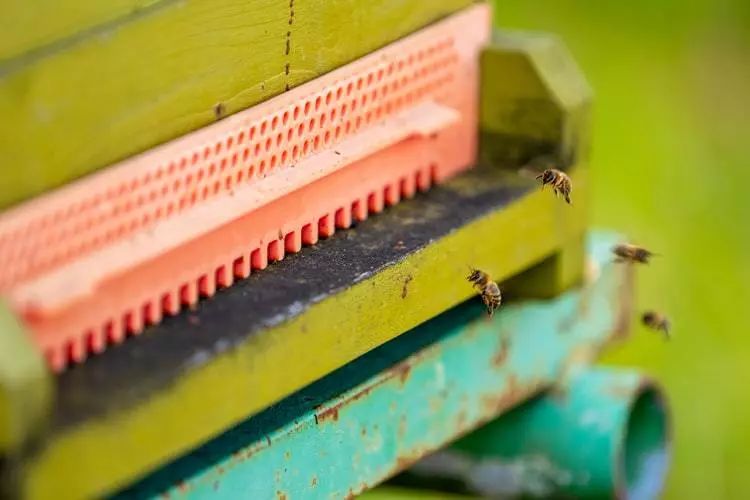 群体共同决策,群体行为能被预测吗