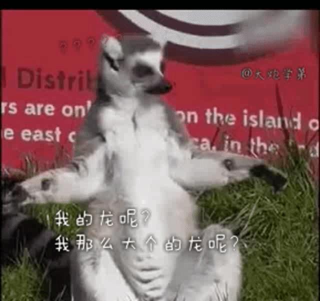 朱一龙实力到底有多强,朱一龙是龙吗