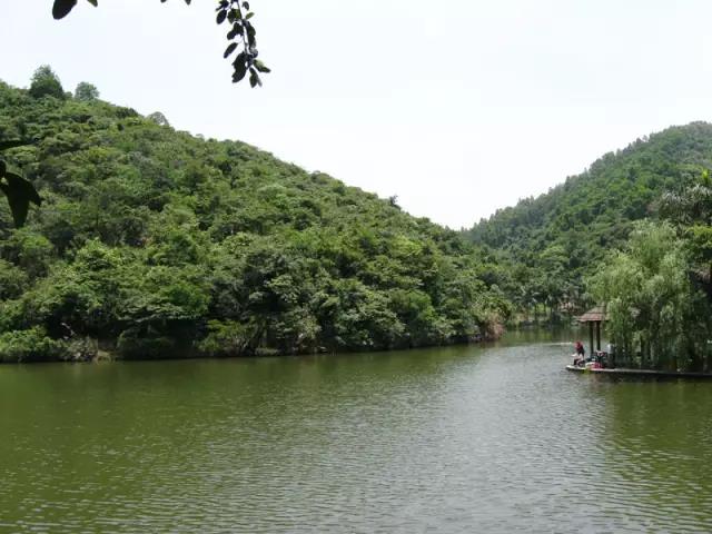 深圳遛娃必去的50个主题公园,深圳亲子游十佳去处免费