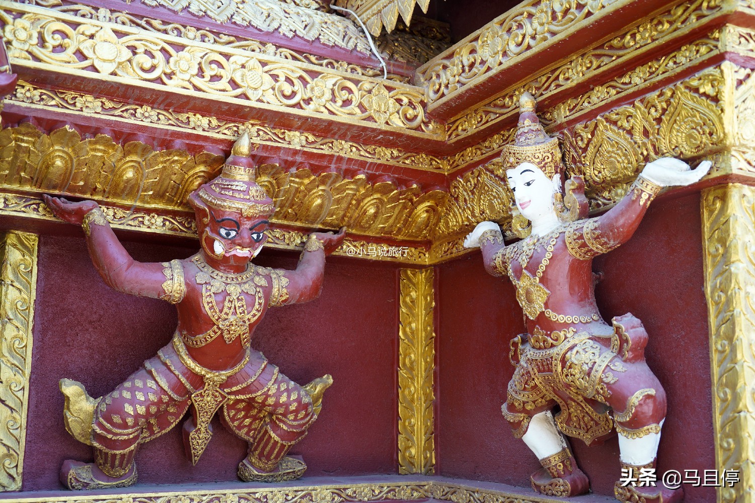 西双版纳看孔雀大象是哪个景点,西双版纳第一名景点