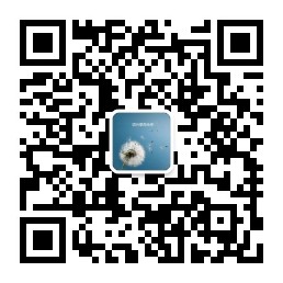 一天有多少家公司上市,近一月的上市公司