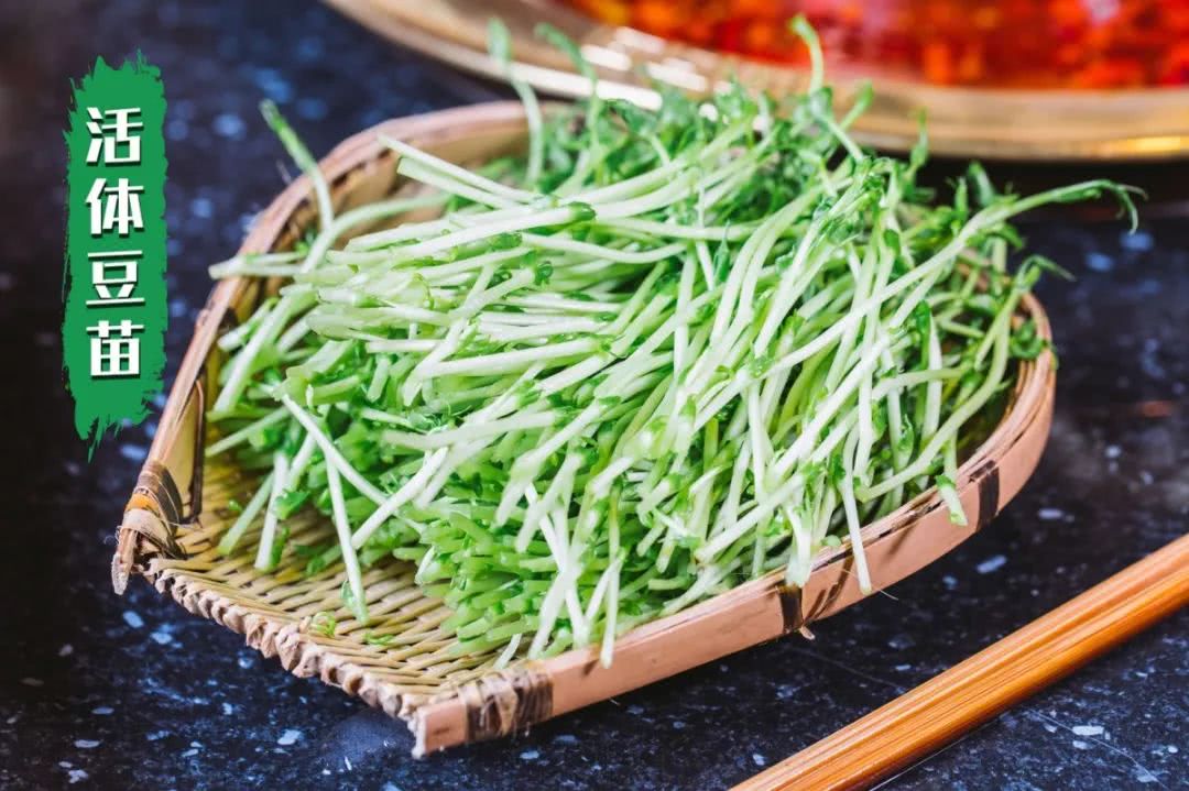 把菜园搬到超市,把菜园搬到家门口