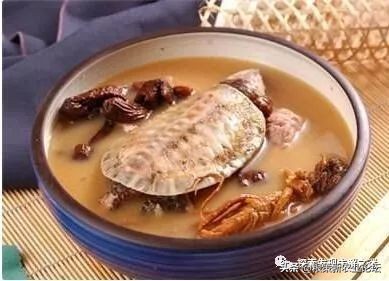 亚洲哪种蝙蝠最好吃,中国蝙蝠吃什么最好