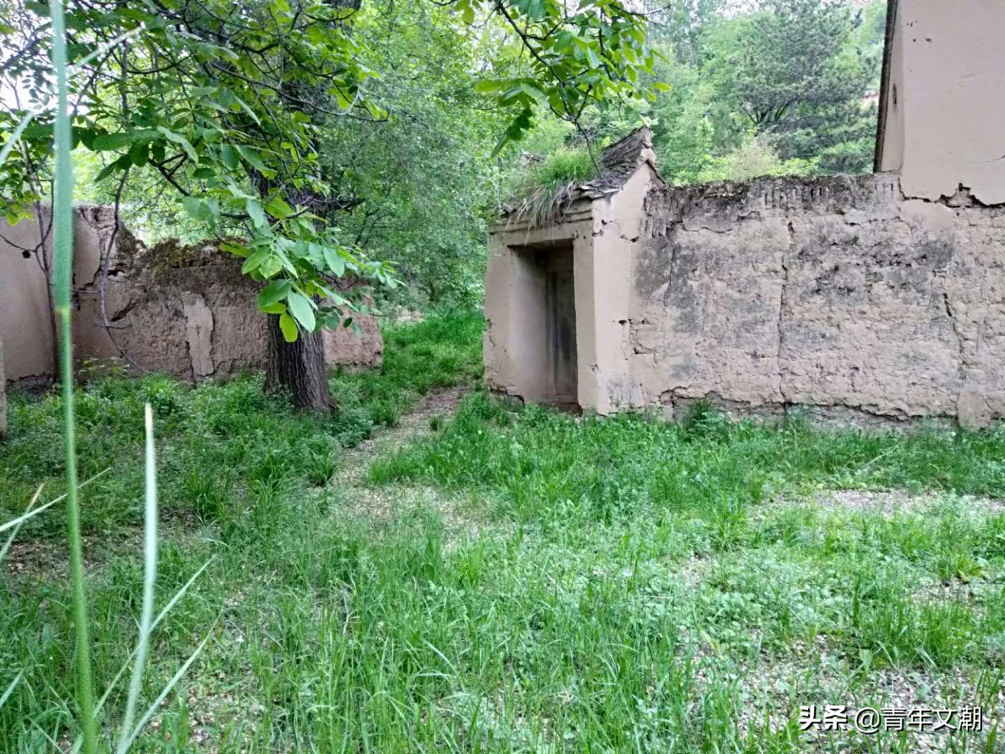 姥姥的旧房子,姥姥的院子图片