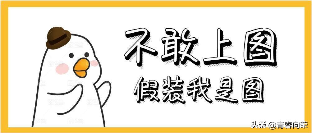 电脑椅怎么选比较好,怎么选便宜又好的电脑椅