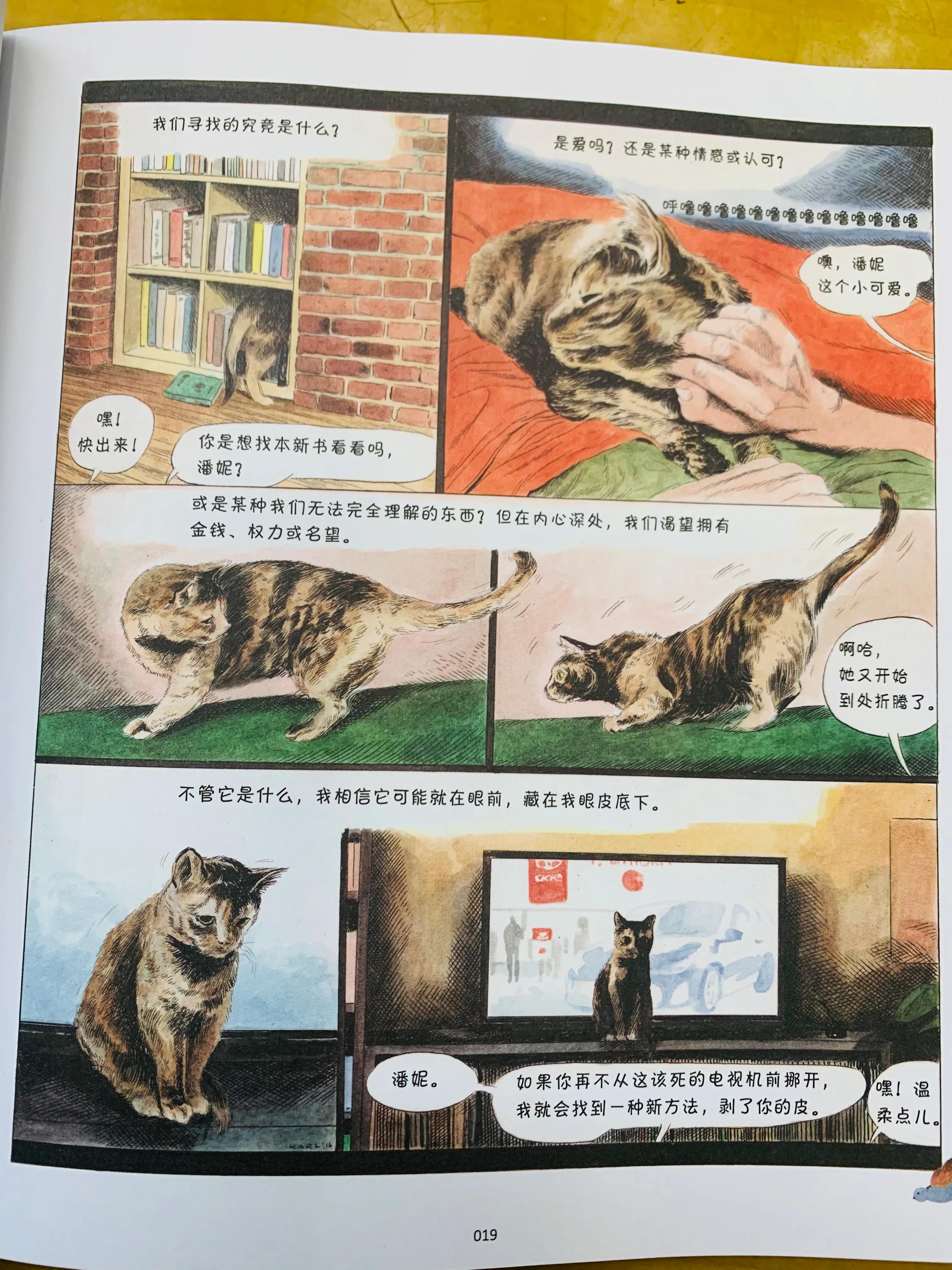 一个关于猫的搞笑漫画,猫咪治愈可爱漫画
