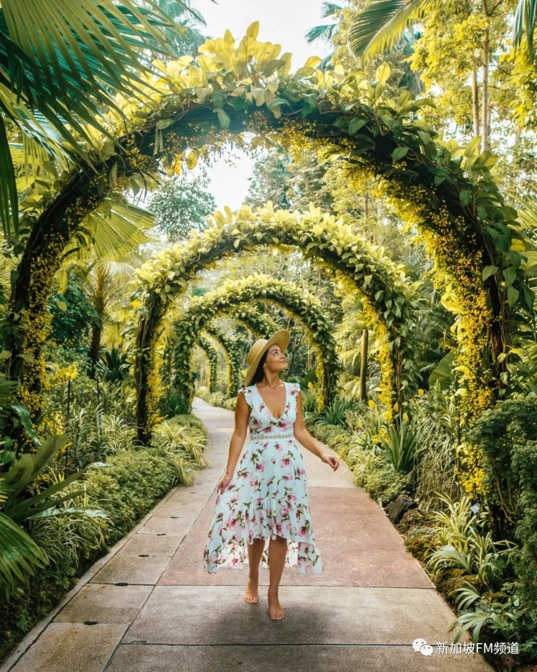 新加坡网红拍照店,新加坡网红点如何拍照