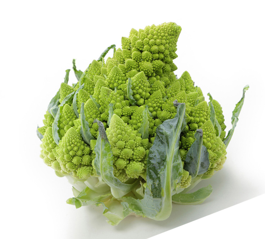 目前种植哪些作物最赚钱,懒人种植什么农作物最赚钱